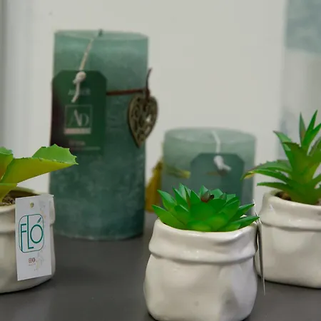 公寓 Oasi Giardinello *